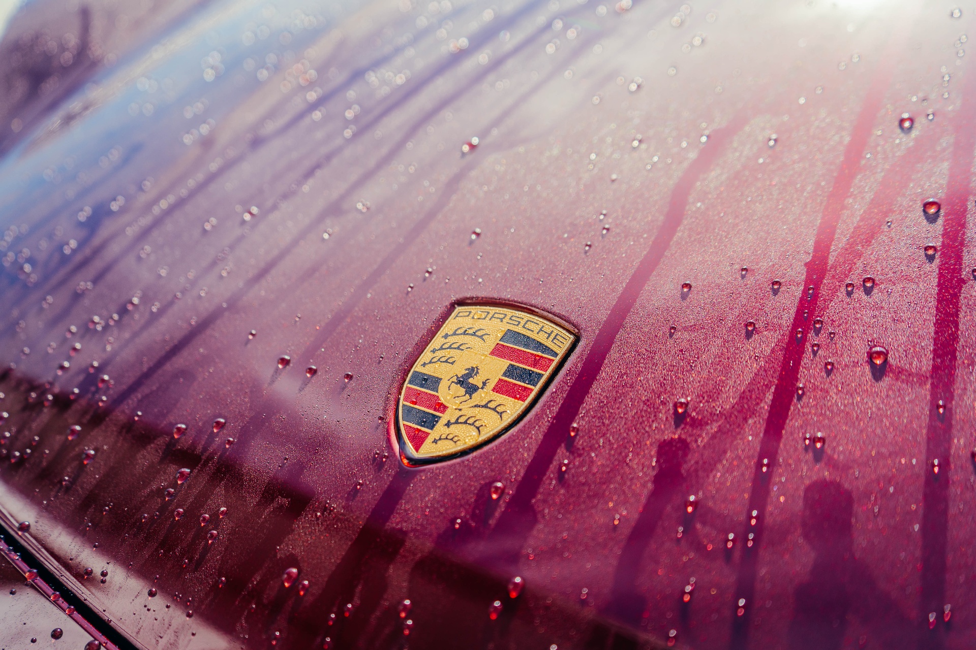 Water beading on Porsche Taycan hood crest after ceramic coating